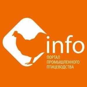 ИНФОРМАЦИОННЫЙ ПАРТНЕР