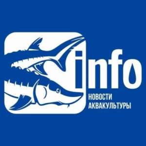 ИНФОРМАЦИОННЫЙ ПАРТНЕР