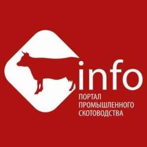 ИНФОРМАЦИОННЫЙ ПАРТНЕР