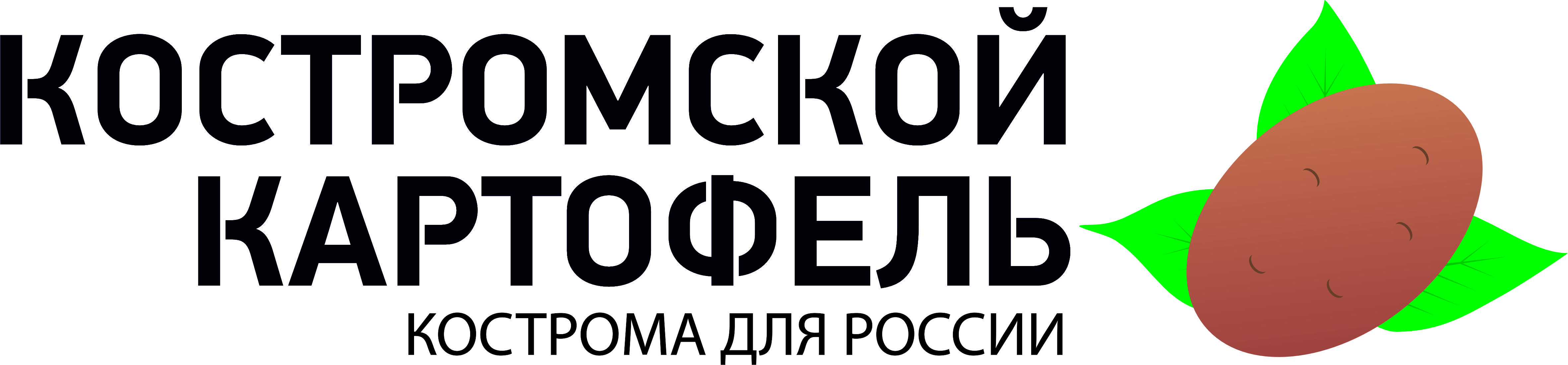 КостКар-лого без тени