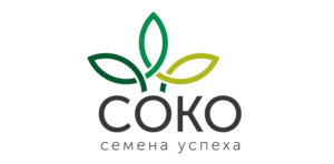 Логотип