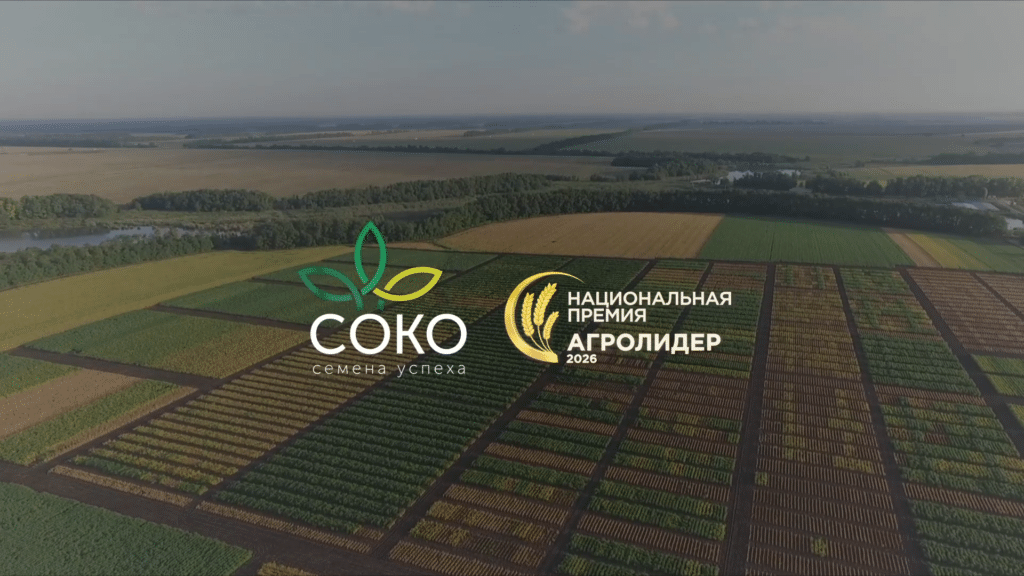 oblojka
